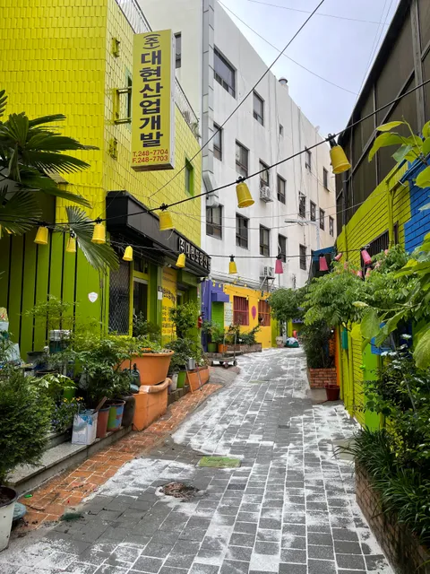 photo-1