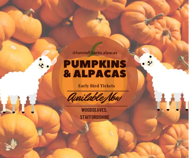Pumpkins & Alpacas @ Tunstall Farm Park