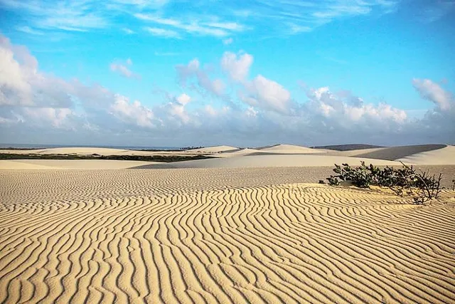 Dunas de Jericoacoara