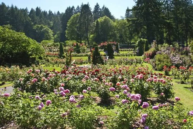 International Rose Test Garden