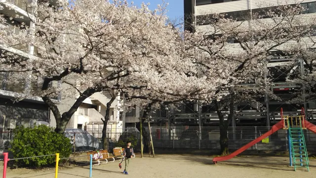 Nishi Kokura Park