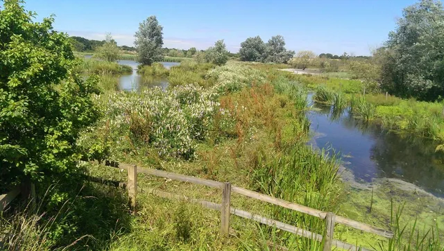 Hornchurch Country Park
