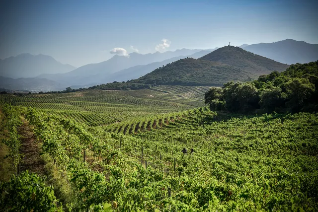 Domaine Comte Peraldi