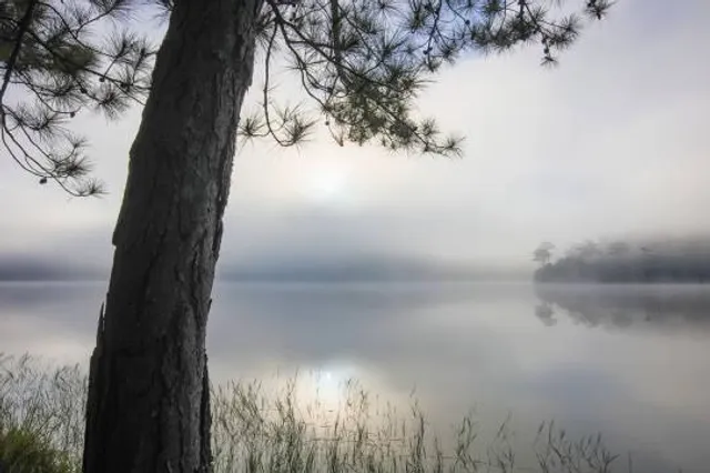 Wassermühle Lünzen
