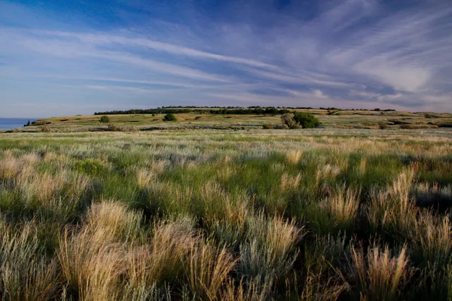 Vodyanskoe settlement