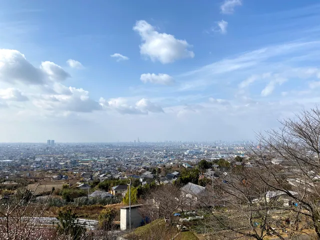 photo-1