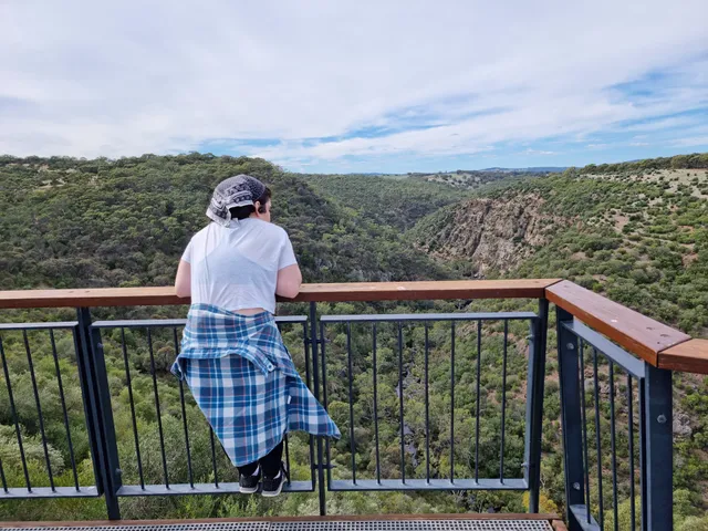 Punchbowl Lookout and Trails