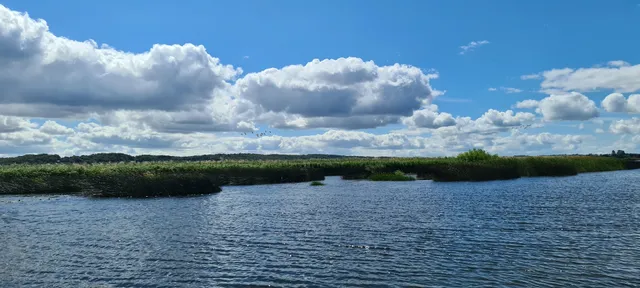 place image