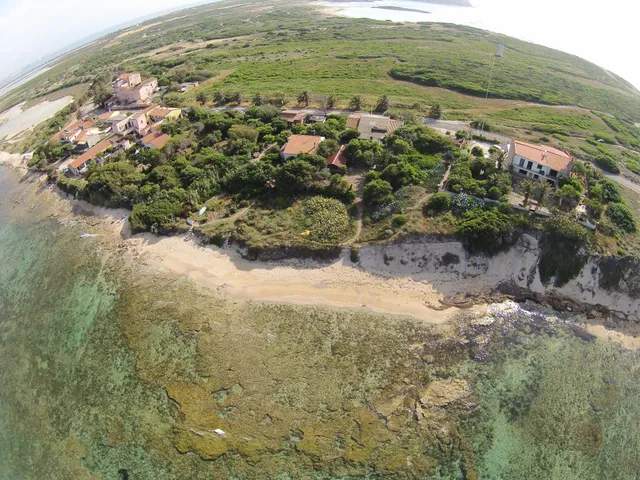Giardino Felino incluso in una Proprietà Privata.Mostra storica.
