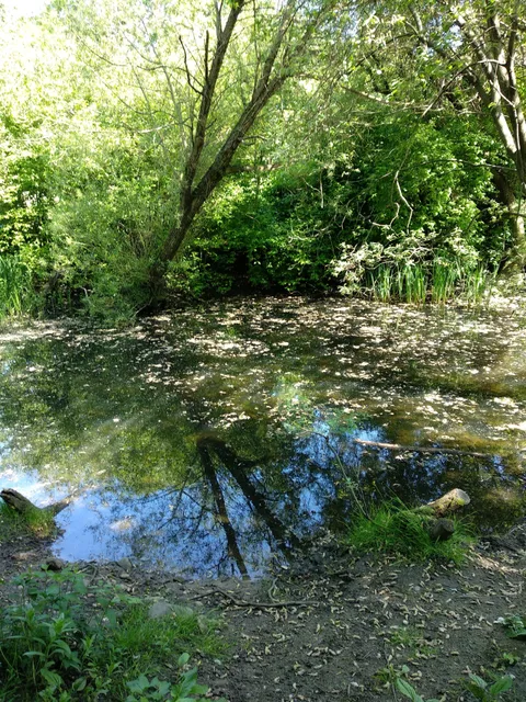 Gallows Hill Nature Reserve