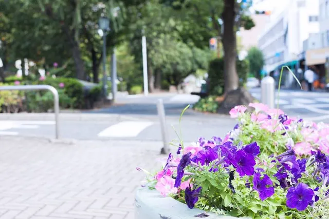 Nishikawa Greenway Park
