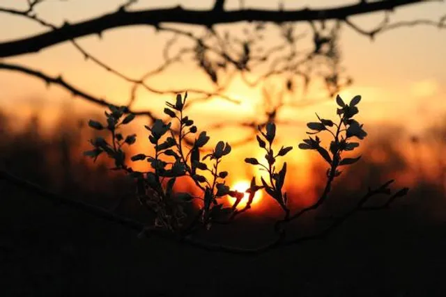 Pickerington Ponds Metro Park
