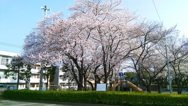 Ashiyama Park