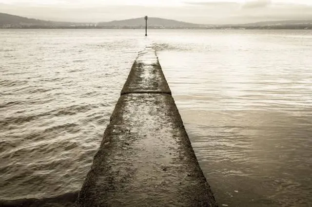 Carnmoney Hill Local Nature Reserve