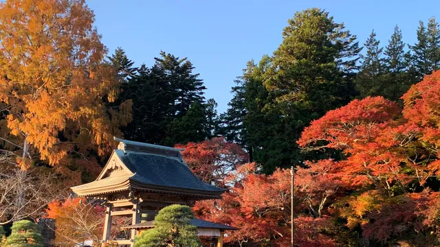 Hiradeyama Maniin Takarazo Temple