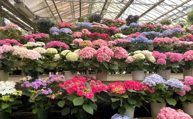 Kamosō Kachōen Garden Park