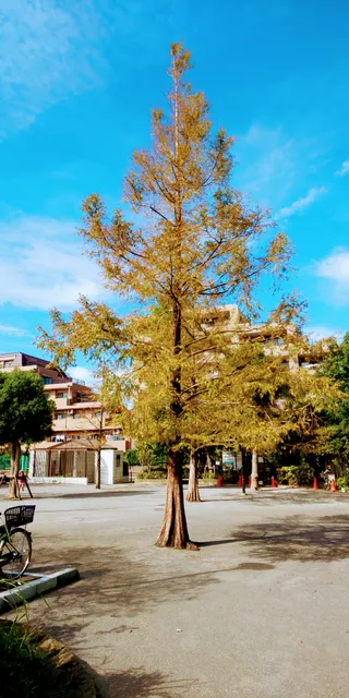 Kamiikedai Sanchome Park