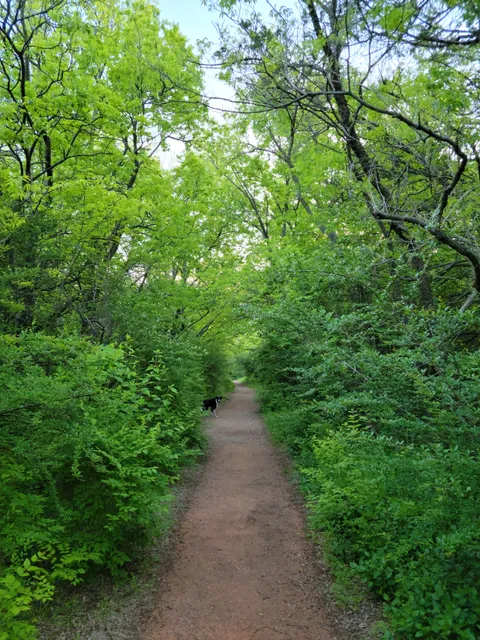 Sutton Wilderness Trail Park