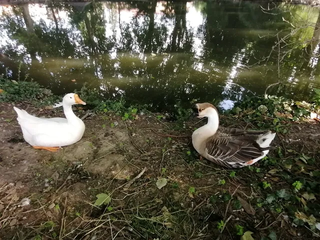 Vinovo della Rovere Castle Park