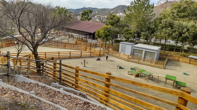 Chibikko Dobutsu-mura Animal Village