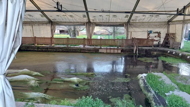 Lucone di Polpenazze