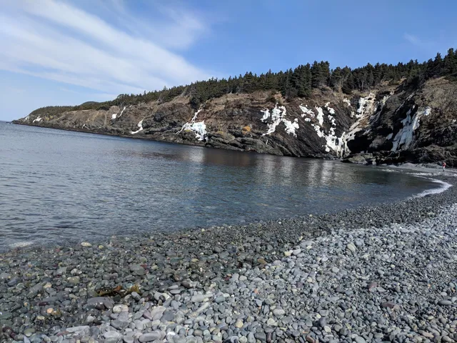 Outer Cove Beach