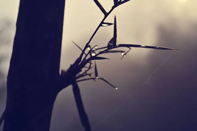 Harpeth River State Park - Hidden Lake
