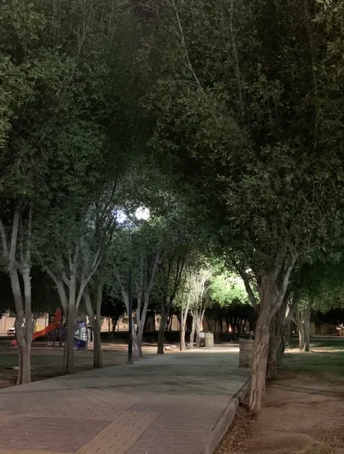 حديقة القرنفل