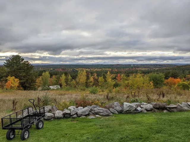 photo-1