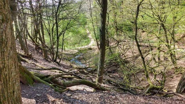 place image