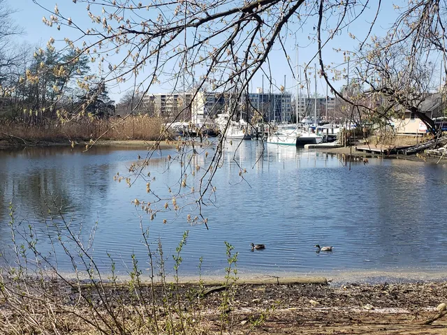 Annapolis Maritime Museum - Park Campus