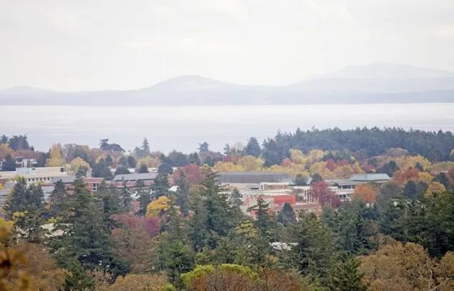 photo-3
