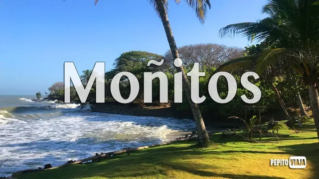 Moñitos