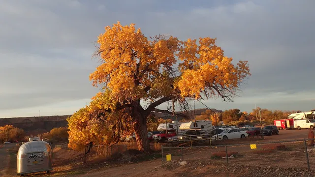 Bluff Community Center