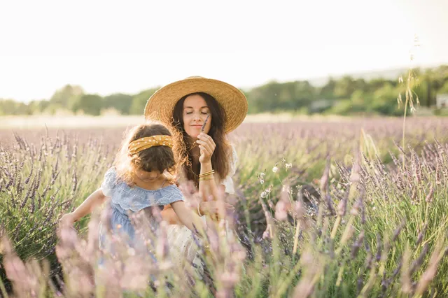 Home Lavender - Terre Ugo
