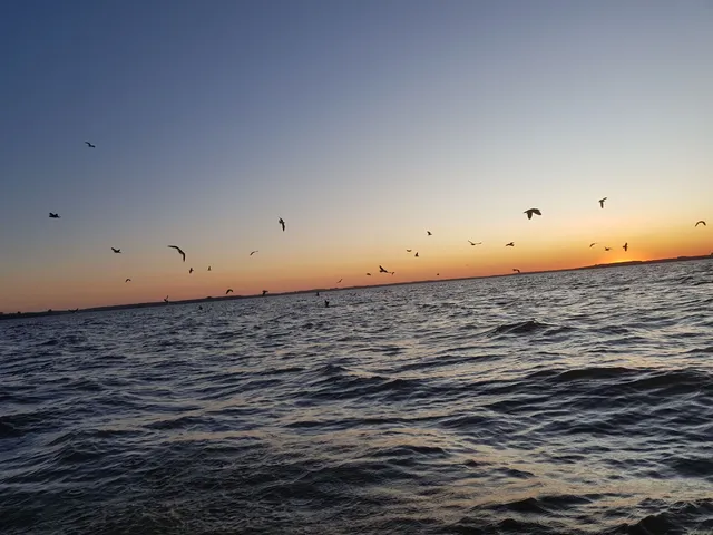 Puerto Aventura - Paseos Náuticos