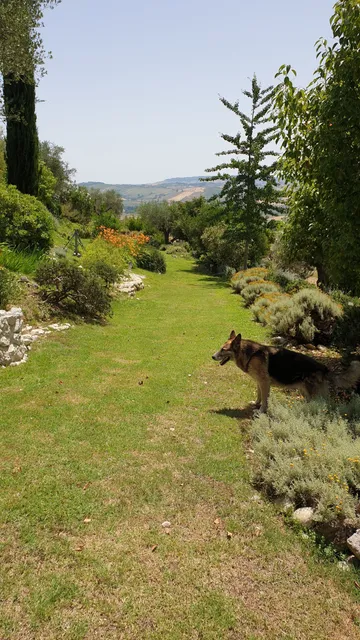 Azienda Agricola Giardino Officinale