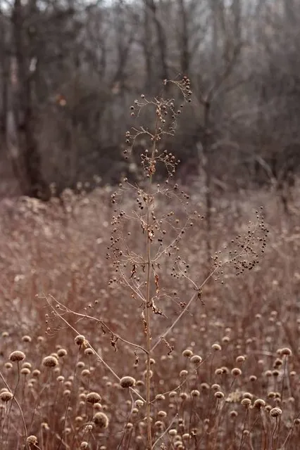 photo-3