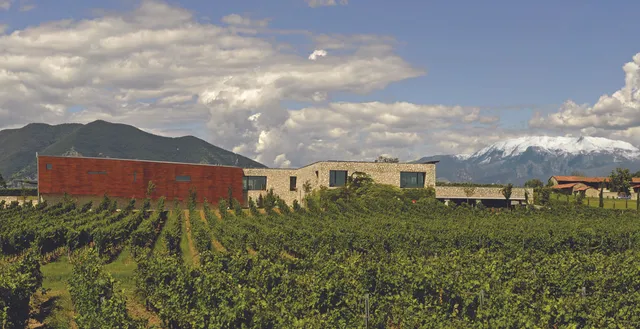 Barone Pizzini S.Agr.P.A.