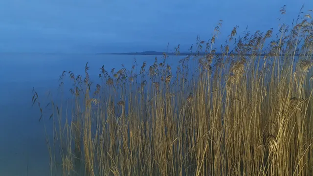 Östra Sannornas Naturreservat