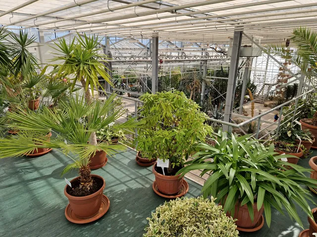 Salaspils Botanical Garden conservatory