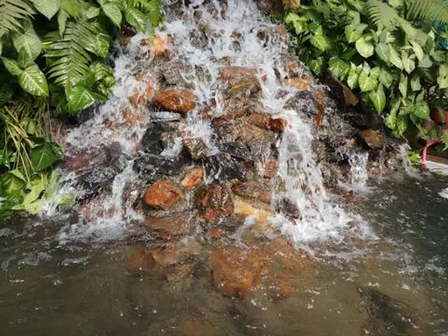 Tata Steel Zoological Park