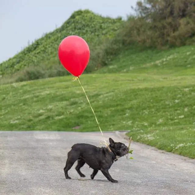 Europäischer Kulturpark Bliesbruck-Reinheim Informationszentrum