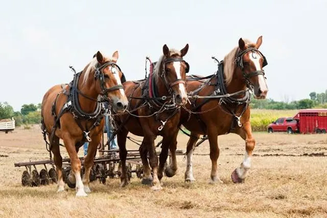 Beaver Creek Nature Area