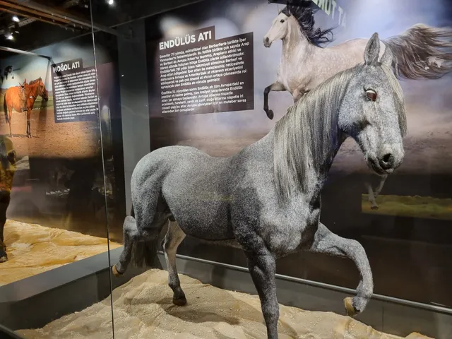 Hamidiye Millet Bahçesi