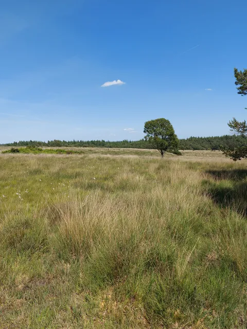 Higher Hyde Heath Nature Reserve