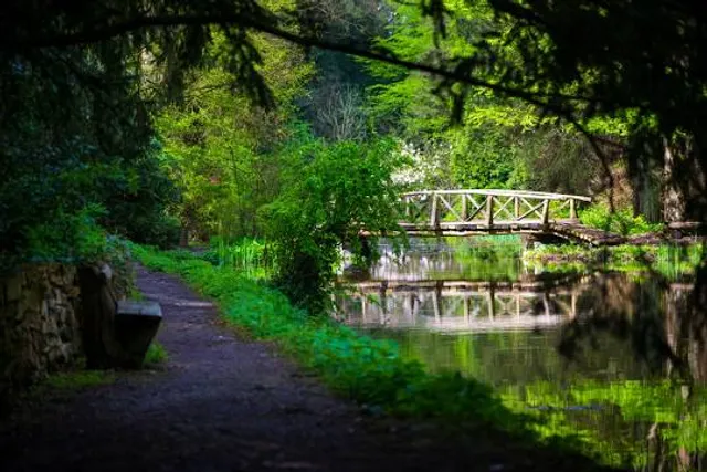 Arboretum Park Simeria