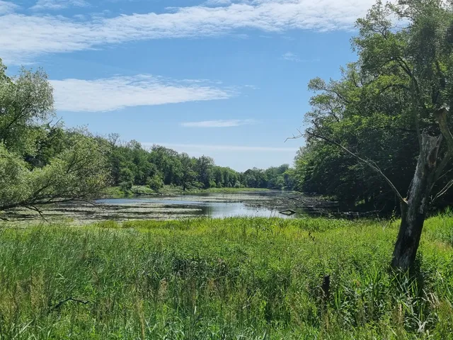 Żerkowsko-Czeszewski Park Krajobrazowy