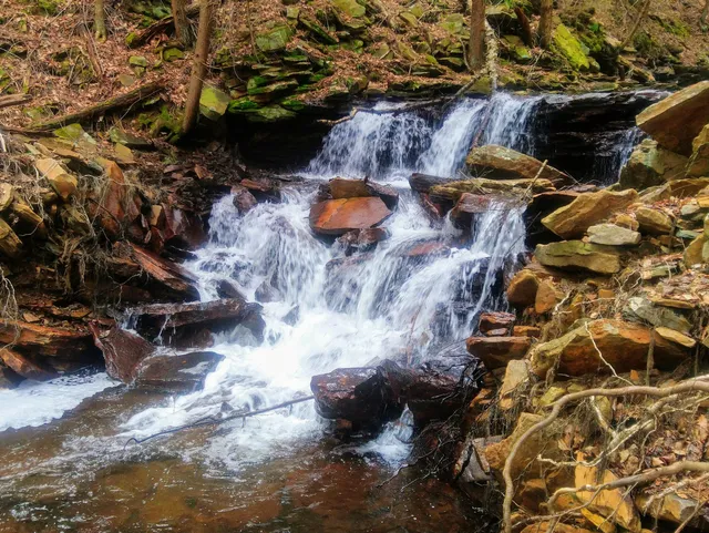 State Game Lands Number 36