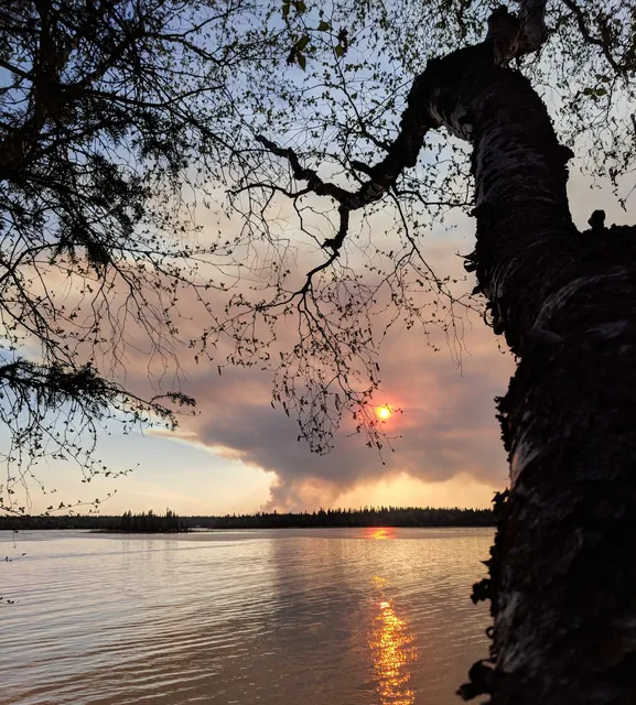 Great Blue Heron Provincial Park